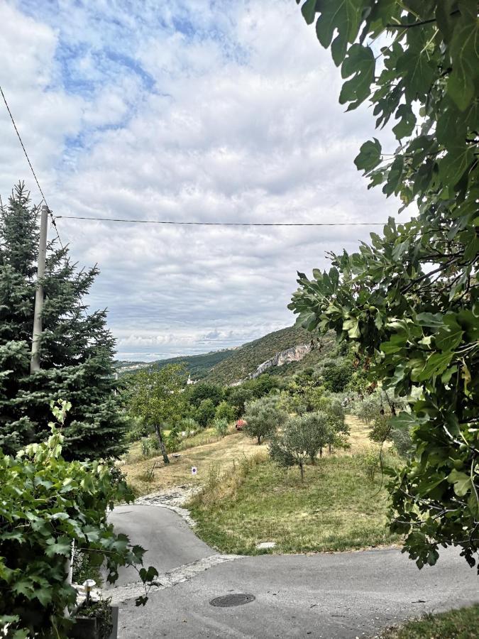 Villa House Ceh Črni Kal Esterno foto